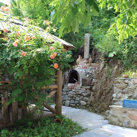Nikala'S House Hotel Borjomi Bagian luar foto