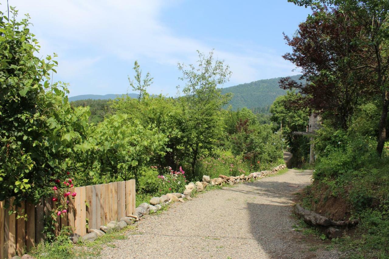 Nikala'S House Hotel Borjomi Bagian luar foto