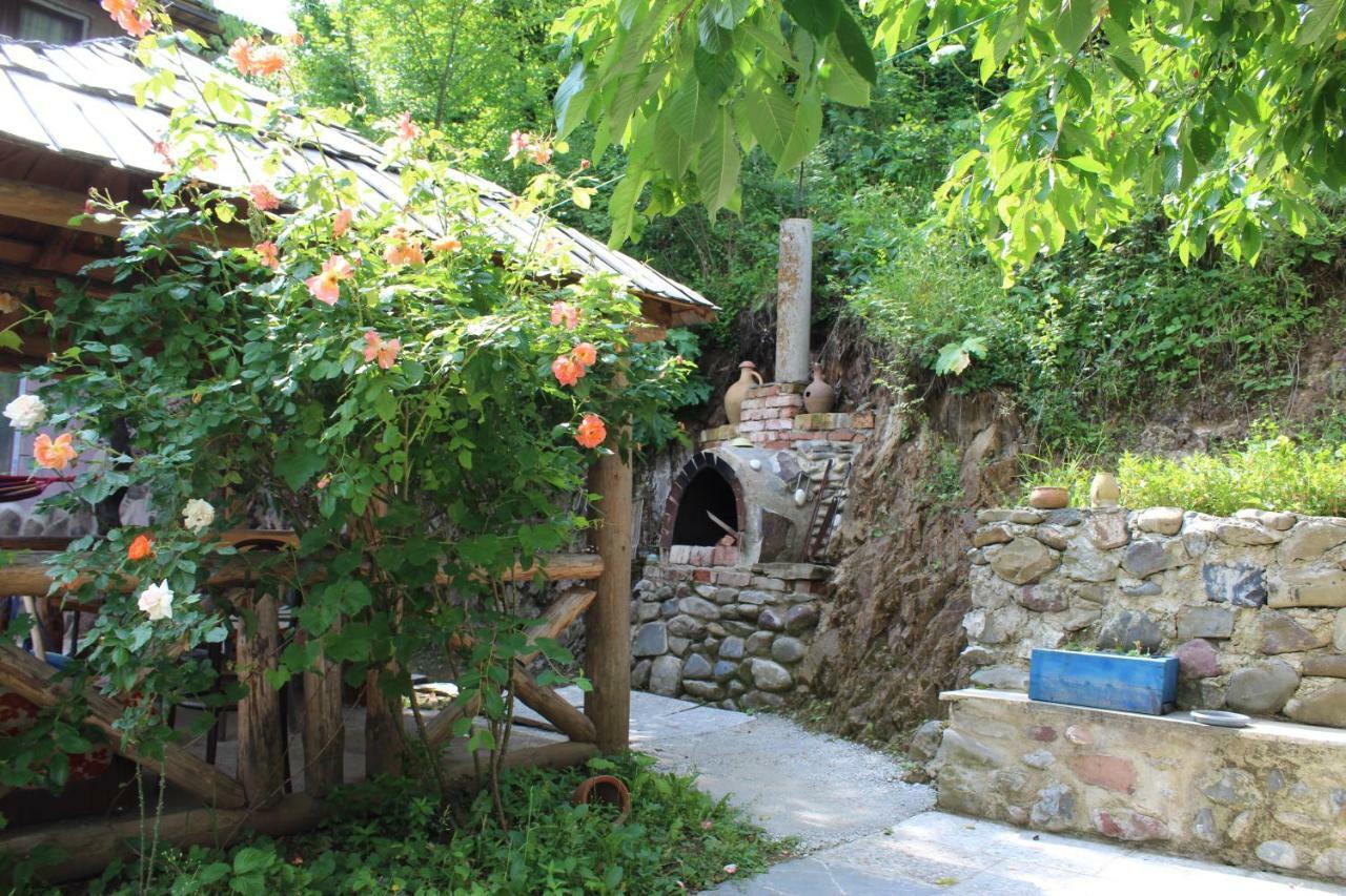 Nikala'S House Hotel Borjomi Bagian luar foto